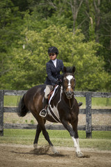 Girl and paint horse cantering