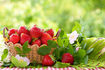 Strawberries in a wicker basket and flowers of a dogrose. Still life in a summer garden. - 162675732