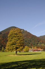 Fototapeta na wymiar Herbst bei Kreuth