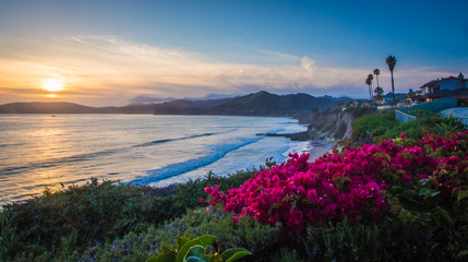 Californian Coast