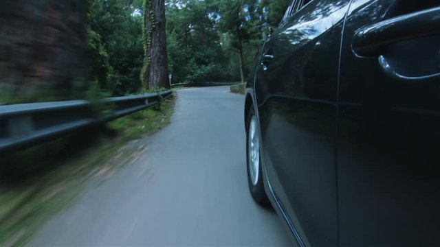 Forest, Road, Winding, Car,