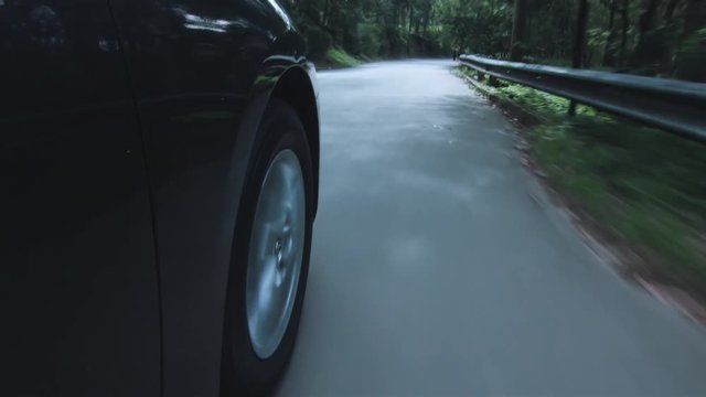 Forest, Road, Winding, Car,