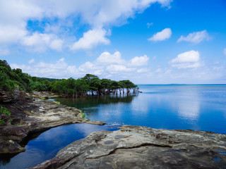 西表島の海岸