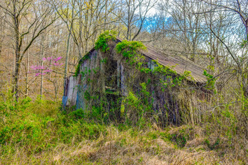 Old Barn - Williamson County, Tennessee