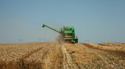 Combine harvester agriculture machine harvesting wheat field, aerial view