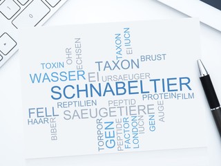 Schnabeltier