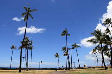 ハワイ＜紺碧の空＞