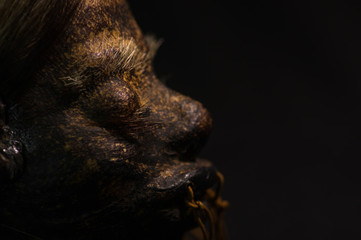Close up of half face of a shrunked human head from ecuador over a dark background