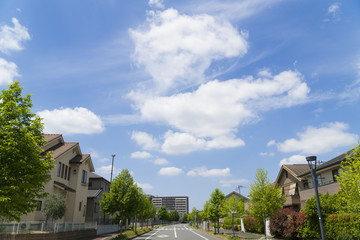 新築分譲住宅街　イメージ　電線のない通り