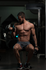 Plakat Model With Dumbbells Exercising Biceps