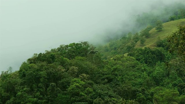 High Humidity In Jungle Rainforest. Epic Nature background full hd and 4k. Timelapse Of Moving Clouds And Fog. Green mountain Against Foggy Weather During Day. Ecology concept.