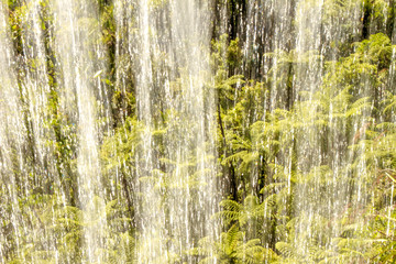 green palm tress and waterfall image