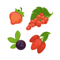 Set of different berries