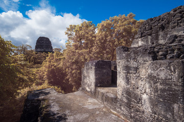 Tika Ruins of Guatemala
