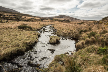 Stream at Torc Mountain
