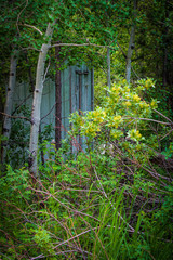 Crazy Woman Canyon Buffalo Wyoming