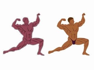 illustration of bodybuilder , vector drawing