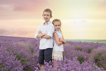 Fototapeta premium Happy brother and sister in lavender summer field