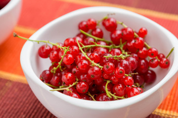 Gartensaisin
