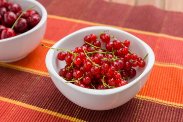 Gartensaisin