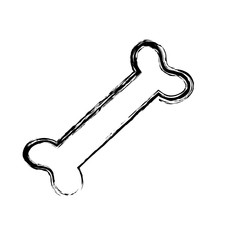 dog bone icon