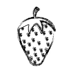 healthy fruits icon
