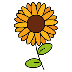 cute sunflower isolated icon vector illustration design