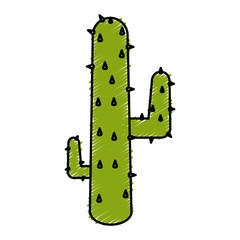 natural cactus isolated icon vector illustration design