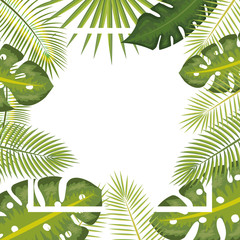 tropical leafs pattern background vector illustration design