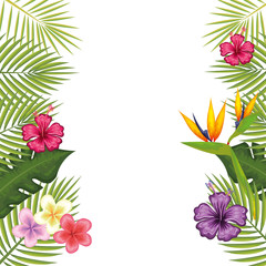 tropical flower decorative frame vector illustration design