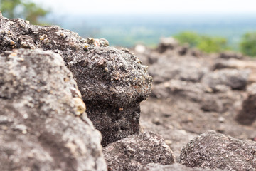 Stone cliffs in the mountains as a background.