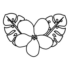 tropical flower decorative icon vector illustration design