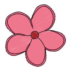 tropical flower decorative icon vector illustration design