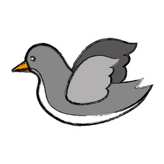 dove bird icon