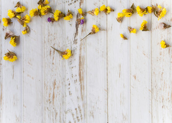 Spring yellow flowers petals on white wooden plank background, copy space, for text