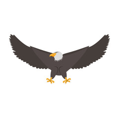 Hawk eagle symbol