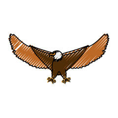 Hawk eagle symbol