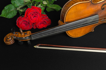 Fototapeta premium Violin and rose on black background.