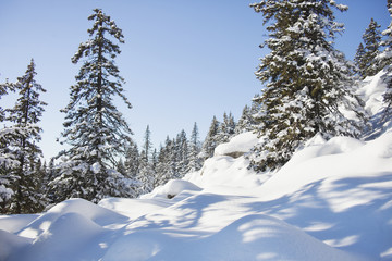 Mountain range Zuratkul, winter landscape. Snowdrifts near forest