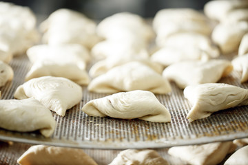 Fototapeta na wymiar billet bun of dough with filling inside. Prepared for baking in baking production.