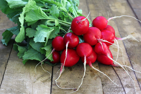 A bunch of radishes with tops