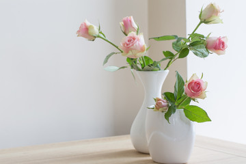 pink roses in vase on white background