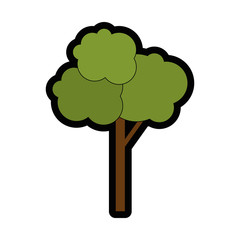 tree icon over white background colorful design vector illustration