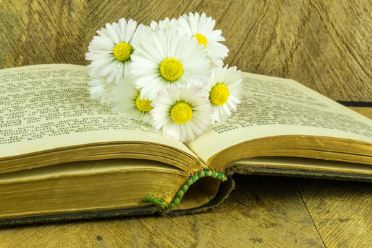 Old book on a rustic wooden board with daisies