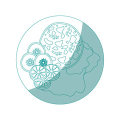 dish with ham slices and salad icon over white background vector illustration