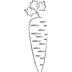 carrot vegetable icon over white background vector illustration