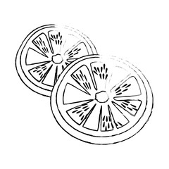 tomato slices vegetable icon over white background vector illustration