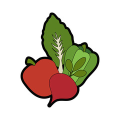 beetroot vegetable icon over white background vector illustration