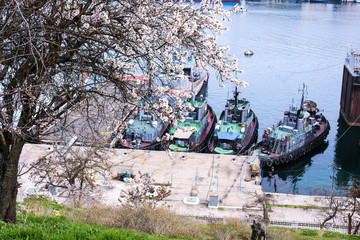 Fishing boats in the bay of Sevastopol