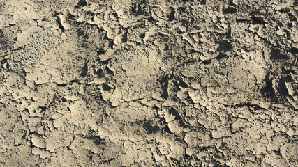 Cracked surface of the earth. The result of drought on the soil.